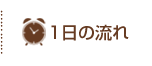 1日の流れ